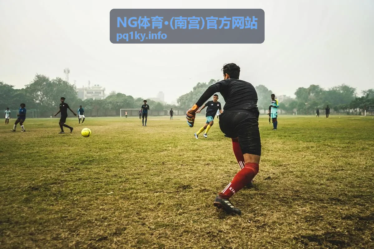 NG体育·南宫赛事咨询服务讲解